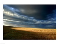 Storm clouds over a landscape, Eyre Peninsula, Australia Fine Art Print
