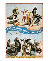 Forepaugh & Sells Brothers Fine Art Print