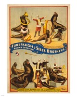 Sells Brothers Sea Lion Circus Fine Art Print