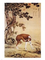 Ten Prized Dogs Chinese Greyhound Fine Art Print