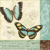 Butterfly Patchwork II Framed Print