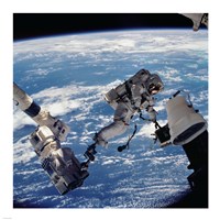 David Wolf Anchored to SSRMS Fine Art Print