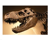 Palais de la Decouverte Tyrannosaurus Rex Fine Art Print