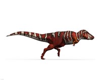 T-rex side Fine Art Print