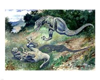 Tyrannosaurus Frolicking With Another Fine Art Print