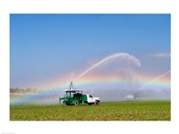 Rainbow seen under the spray from sprinkler in a vegetable field, Florida, USA Fine Art Print
