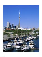 Boats docked at a dock, Toronto, Ontario, Canada Fine Art Print