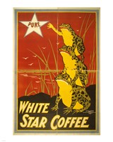 White Star Coffee Frogs Fine Art Print