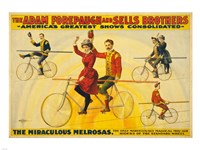 The Miraculous Melrosas Framed Print