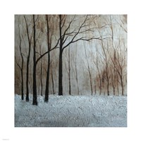 Forest Landscape Fine Art Print