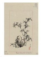Rock and Bamboo in Garden Fine Art Print