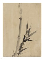 Banboo Ink Painting Fine Art Print