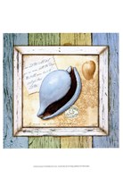 Sea Treasures IV Framed Print