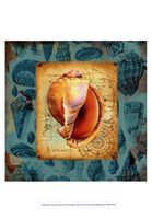 Seaside Gifts II Fine Art Print