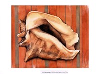 Shell on Stripes I Fine Art Print