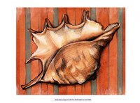 Shell on Stripes II Fine Art Print