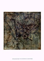 Small Ethereal Wings VI Framed Print