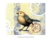 Small Postcard Song I Framed Print