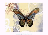 Small Postcard Song IV Framed Print