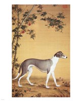 Greyhound by Bamboo Fine Art Print