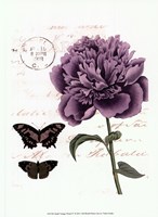 Small Vintage Floral IV Fine Art Print