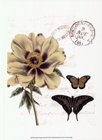 Small Vintage Floral II Framed Print