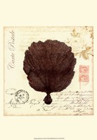 Small Romance du Mer II Fine Art Print