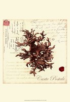 Small Romance du Mer III Fine Art Print