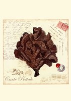 Small Romance du Mer IV Framed Print