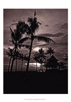 Palms At Night I Framed Print