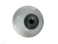 Close-up of the human eyeball frontal view - various sizes