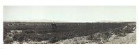Alfalfa fields, Pre City Las Vegas, Nevada Fine Art Print