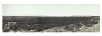 Alfalfa fields, Pre City Las Vegas, Nevada Fine Art Print