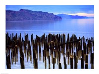 Wooden posts in water, Columbia River, Washington, USA Fine Art Print