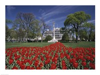 Monument in front of a government building, First Division Monument, Eisenhower Executive Office Building, Washington DC, USA Fine Art Print