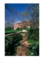 Trees in a garden, Dumbarton Oaks House, Georgetown, Washington DC, USA Fine Art Print