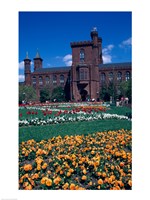 Formal garden in front of a museum, Smithsonian Institution, Washington DC, USA Fine Art Print