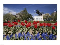 Andrew Jackson Statue, Washington D.C., USA Fine Art Print