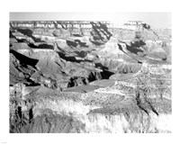 Grand Canyon National Park canyon with ravine winding Fine Art Print