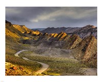 Cockscomb cottonwood Fine Art Print