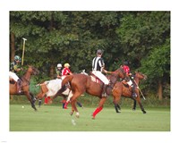 Polo Umpire Fine Art Print