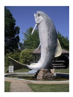 Adaminaby big trout Fine Art Print