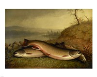 Brooklyn Museum - Trout - Walter M. Brackett Fine Art Print