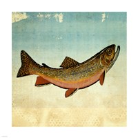 Brown Trout I Fine Art Print