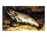 Gustave Courbet - The Trout Fine Art Print
