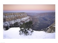 High angle view of a tree on a snow covered mountain, South Rim, Grand Canyon National Park, Arizona, USA Fine Art Print