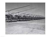 Helicopters in a row, Bell H-13D, Korean War - various sizes