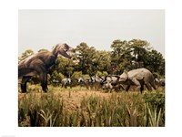 Tyrannosaur standing in front of a group of triceratops in a field Fine Art Print