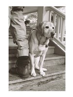 Beamy Fine Art Print