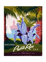 Discover Puerto Rico Fine Art Print